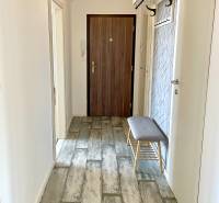 Entrance hallway in a 2-room apartment with a wooden floor and a coat rack.
