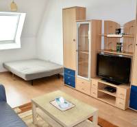 Living room in a studio apartment with a sofa, bed, cabinet, and television.