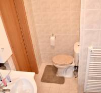 A bathroom in a studio apartment with a sink, toilet, and ladder radiator.