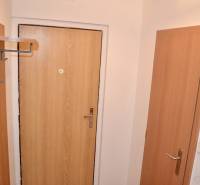 White walls, wooden doors, and a coat rack wall in a studio apartment.