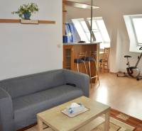 Living room with a sofa, table, bar counter, and stationary bike in a studio apartment.