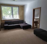 A sofa in the living room of a 3-room apartment with a large window and a carpet.