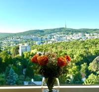 A bouquet of orange roses in a vase on the windowsill overlooking the wooded landscape of Bratislava.