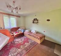 A room in a family house with a sofa, bed, and red carpet.