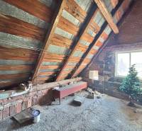 An attic with a wooden roof and a window in a family house, also adorned by a small tree.