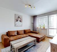 Living room in a 3-room apartment with a leather sofa, a painting, and large windows.