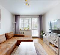Living room in a 3-room apartment with a brown sofa, TV cabinet, and a painting of a ballerina.