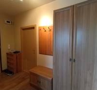 A hallway with a wardrobe and a shoe cabinet in a 3-room apartment.