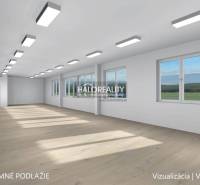 Bright commercial space with wooden flooring, large windows, and ceiling lights.