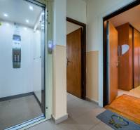 A hallway with an elevator and entrance to a 3-room apartment with wooden doors.