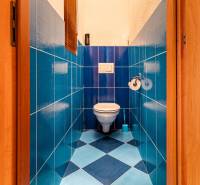 Blue tiles and a toilet in a 3-room apartment with wooden doors and dark accessories.