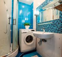 Bathroom with a shower, washing machine, sink, and blue tiles in a 3-room apartment.