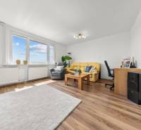Living room in a 3-room apartment with a comfortable sofa and large windows.