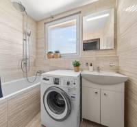 A bathroom with a bathtub, sink, and washing machine in a 3-room apartment full of light and plants.