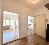 A bright hallway with entrances to the kitchen and a room in a 2-room apartment.