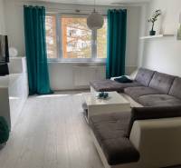 Living room with a sofa and television in a 3-room apartment, decorated with greenery and curtains.