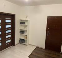 Entrance hall with double doors and a shelving cabinet in a 3-room apartment.