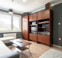 Living room with a sofa, wooden wall, window, and table in a studio apartment.