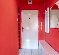 A red interior with white elements, a mirror, and storage space in a studio apartment.