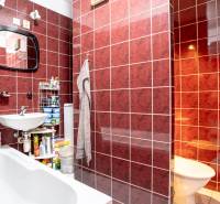 A bathroom in a studio apartment with red tiles, a bathtub, and a sink.