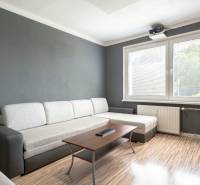 Living area in a studio apartment with a sofa, table, and large window.