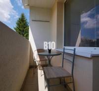 A balcony with two chairs and a table in a studio apartment with a view of a tree.