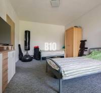 Two beds, a cabinet, a television, and a punching bag in a studio apartment.