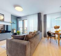 Living room in a two-room apartment with a comfortable sofa, television, and dining table.