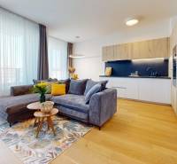 A bright living room with a kitchenette and a view in a 2-room apartment.