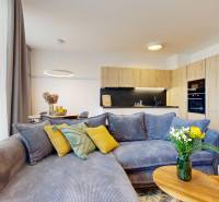 Living room with kitchen in a 2-room apartment, comfortable sofa and dining area.