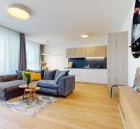 Bright living room and kitchen in a 2-room apartment with a couch and art.