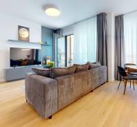 Living room with a sofa, dining table, and television in a two-room apartment.