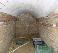 A brick cellar in a family house with plastic crates and a hose.