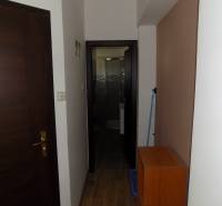A hallway in a family house with doors leading to the bathroom.
