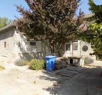 The yard of a family house in Veľké Kosihy with lots of greenery and a blue container.