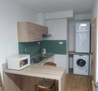 A compact kitchen with wooden furniture, a washing machine, and a microwave in a studio apartment.