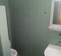 Bathroom of a studio apartment with a sink and toilet, green tiles.