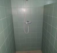 A shower corner with green tiles in a studio apartment.