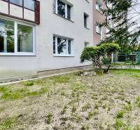 NA_PREDAJ_2i_Byt_Predzahradka_Karlova_Ves_EpicHome_GROF_2025_IMG_2331.jpeg
