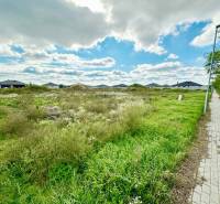 Plots - housing at the Southern Gate in Senec with a walkway and greenery.