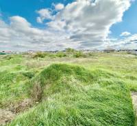 Plots - housing at the Southern Gate in Senec, grassy area with occasional shrubs.