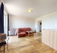 Living room in a 4-room apartment with wooden flooring, a sofa, and a kitchen counter.