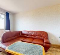 Living room in a 4-room apartment with a leather sofa, a plant, and large windows.