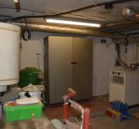 A basement in a family house with a boiler, a wardrobe, and various tools.