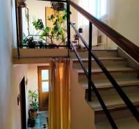 Interior of a family house, staircase with plants and a bright entrance.