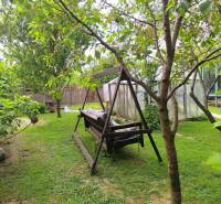 Garden in a family house with a swing, greenhouses, and hidden pathways, Partizánske - Malé Bielice area.
