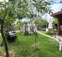 The garden of a family house on a street in Partizánske, Malé Bielice area, with a swing and a greenhouse.