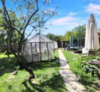 Garden of a family house in Partizánske - Malé Bielice area. Greenhouse, parasol, tree, trampoline.