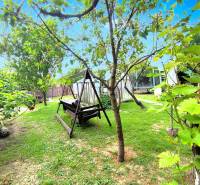The garden of a family house in Partizánske, Malé Bielice area with a swing and greenery.