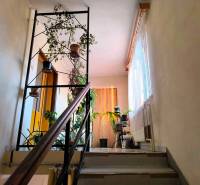A corridor with plants, a staircase, wooden railing, and a window illuminates the family house.